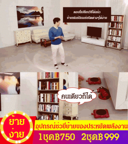 อุปกรณ์ช่วยย้ายบ้าน ย้านของหนัก