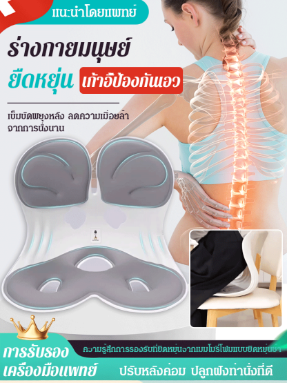 เบาะรองนั่งปรับท่านั่งจากญี่ปุ่น