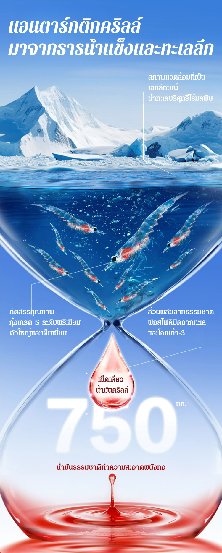 泰语_06.jpg