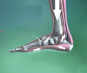 3173e78c6a2a5da5cb84cc26b13babe9.gif