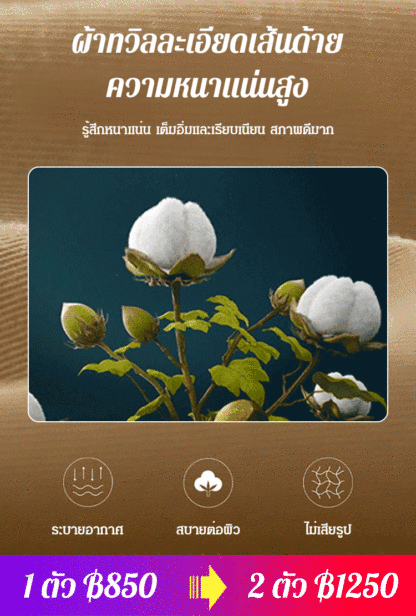เสื้อโค้ทแฟชั่นลำลองที่ทำให้ดูผอมเพรียวและทันสมัย