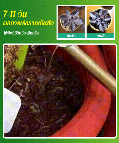 ปุ๋ยน้ำ เร่งโต เเร่งใบเขียว (“น้ำมหัศจรรย์”เข้มข้น)