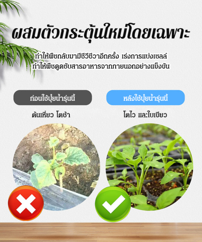ปุ๋ยน้ำ เร่งโต เเร่งใบเขียว (“น้ำมหัศจรรย์”เข้มข้น)