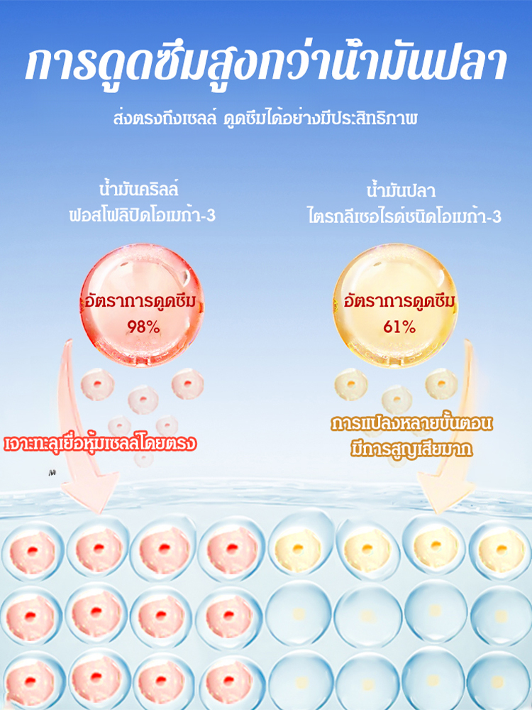 【คืนหลอดเลือดที่แข็งแรงให้คุณใน 15 วัน】แคปซูลน้ำมันคริลล์แอนตาร์กติก