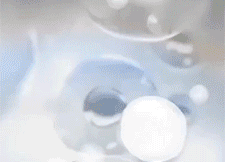 英语_13.gif