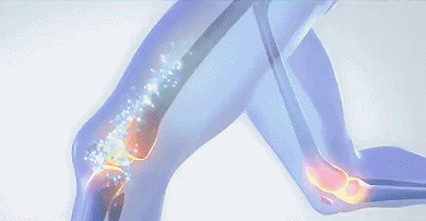英语_19.gif