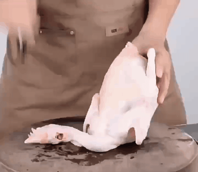 1697799050597.gif
