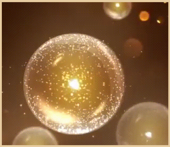 e0c3c25c62b66f73170aacc6eb5fa037.gif