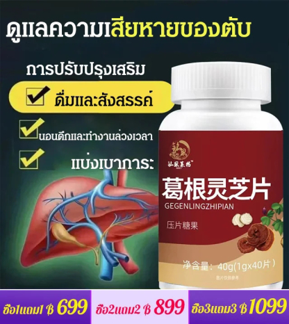【ปกป้องตับและลดไขมัน】เม็ดเห็ดหลินจือรากคุดสุ