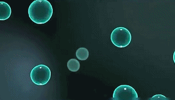 英语_15.gif