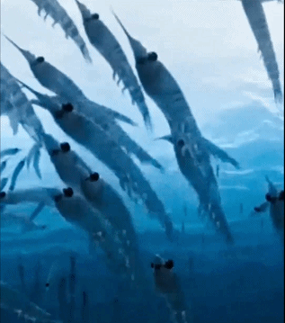 泰语_07.gif