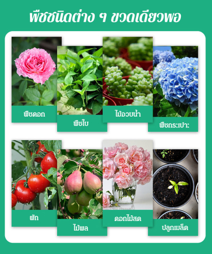 ปุ๋ยน้ำ เร่งโต เเร่งใบเขียว (“น้ำมหัศจรรย์”เข้มข้น)