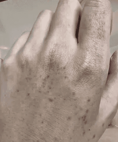 翻译_07.gif