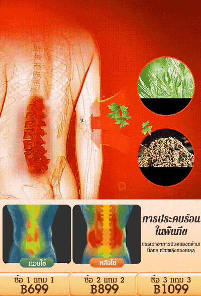 [ต้องมีในห้องแอร์] ปลอกรัดเอวเติมผงอ้ายเฉ่า ขับไล่ความชื้น