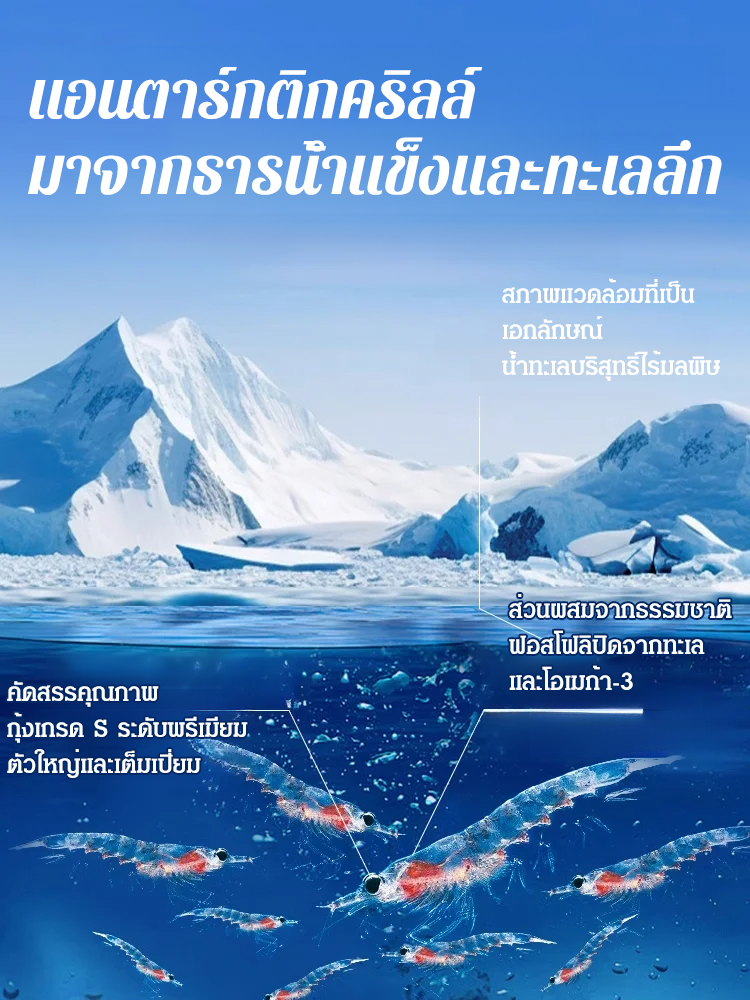 【คืนหลอดเลือดที่แข็งแรงให้คุณใน 15 วัน】แคปซูลน้ำมันคริลล์แอนตาร์กติก