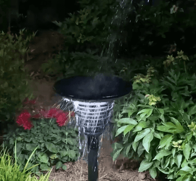123_17.gif