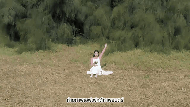 222.gif