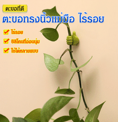 ตะขอทรงนิ้วแม่มือ ไร้รอย