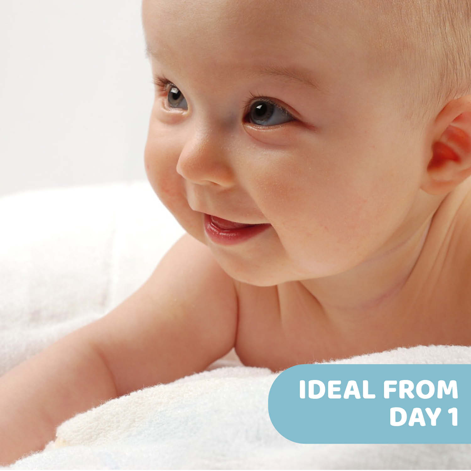 Natural Sensation Face Cream - 50ml