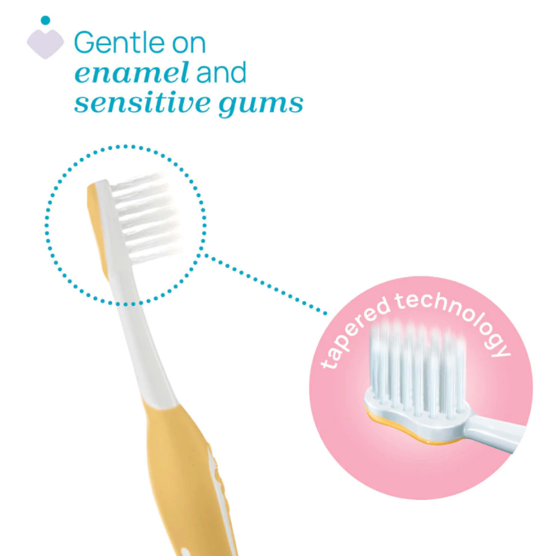 Chicco Combo First Teeth Toothbrush 6-36M