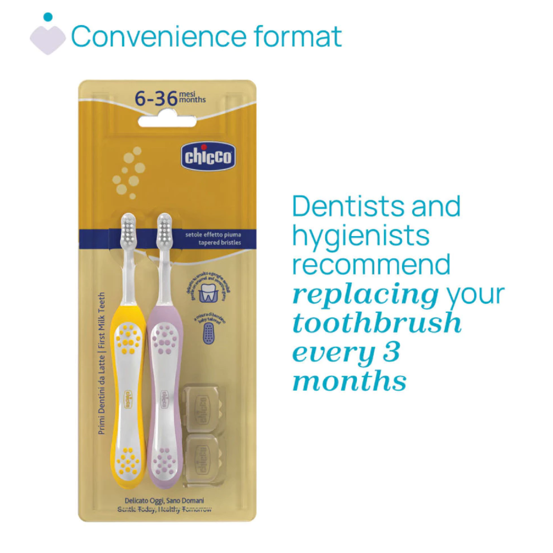 Chicco Combo First Teeth Toothbrush 6-36M