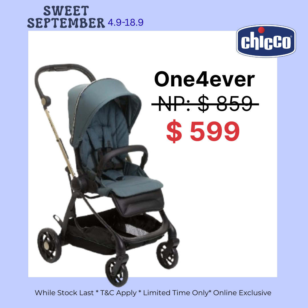 Travel System Best Lightweight Parent Facing Stroller One4Ever