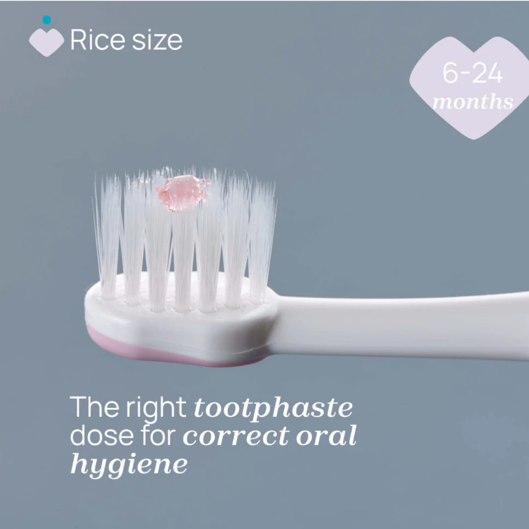 Chicco Combo First Teeth Toothbrush 6-36M