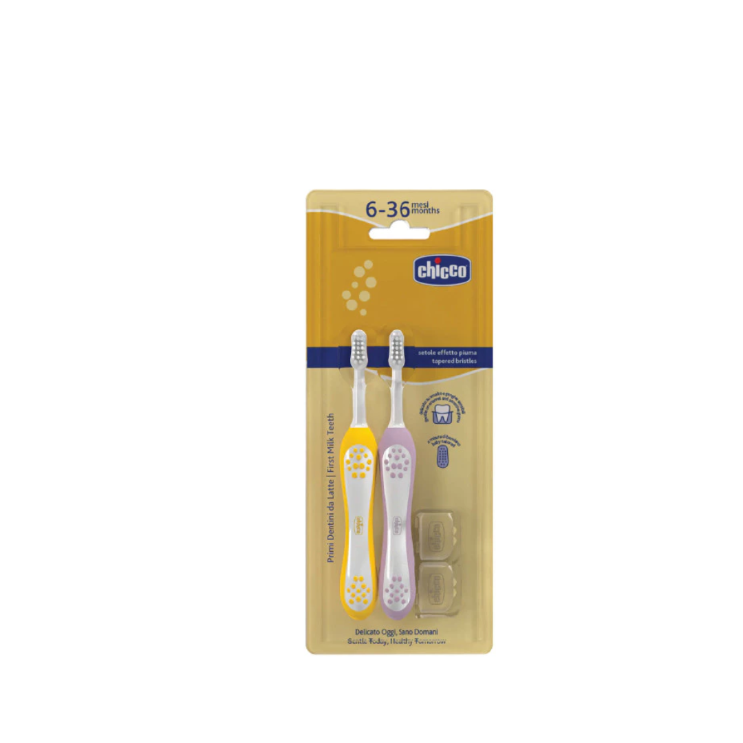 Chicco Combo First Teeth Toothbrush 6-36M