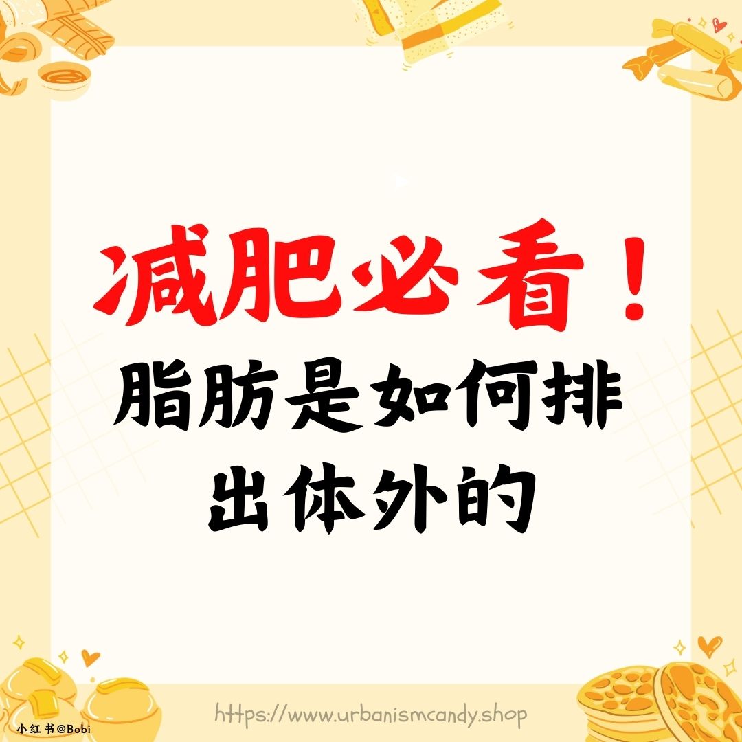 减肥必看！脂肪是如何排出体外的