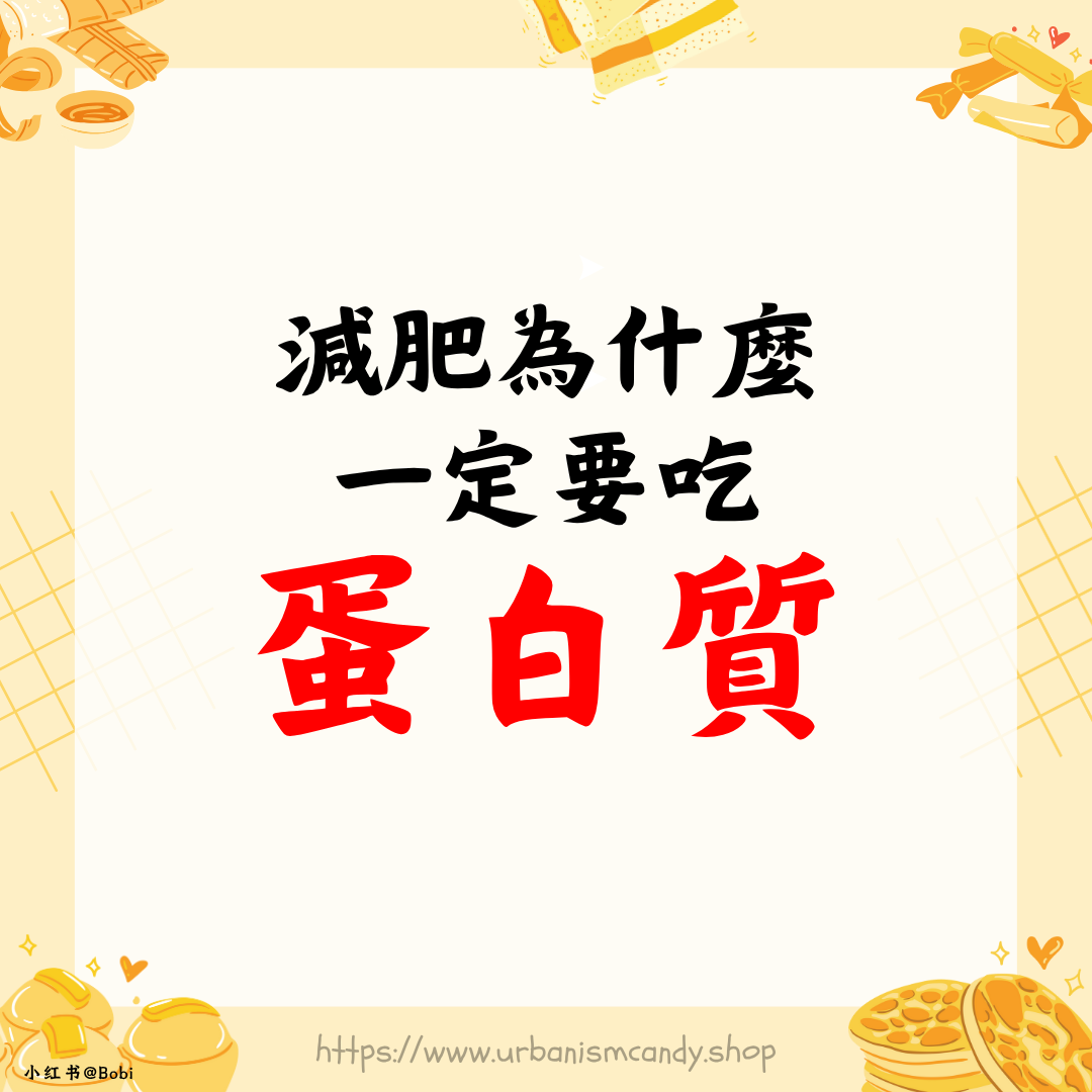 減肥為什麼一定要吃蛋白質