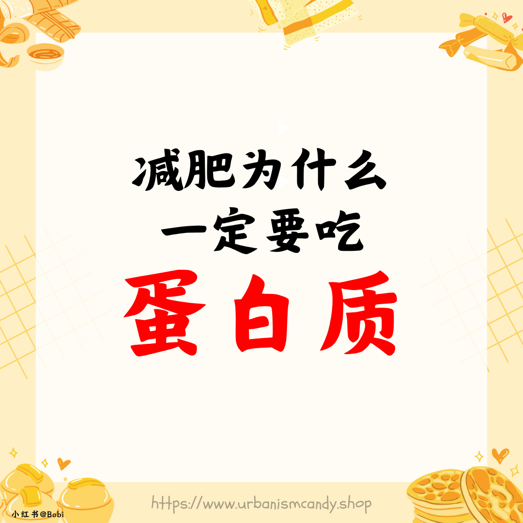 减肥为什么一定要吃蛋白质