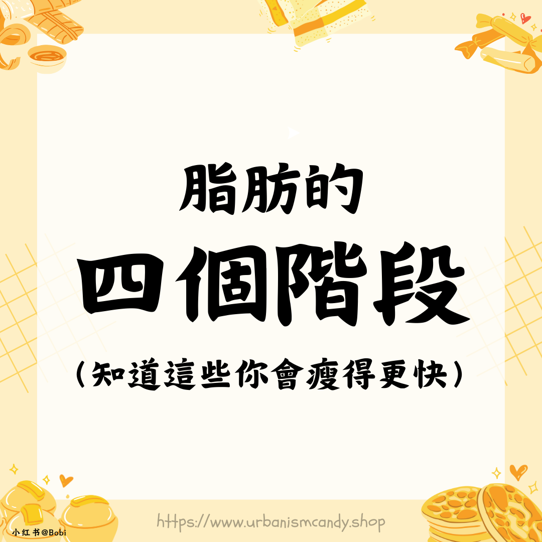 脂肪的四個階段