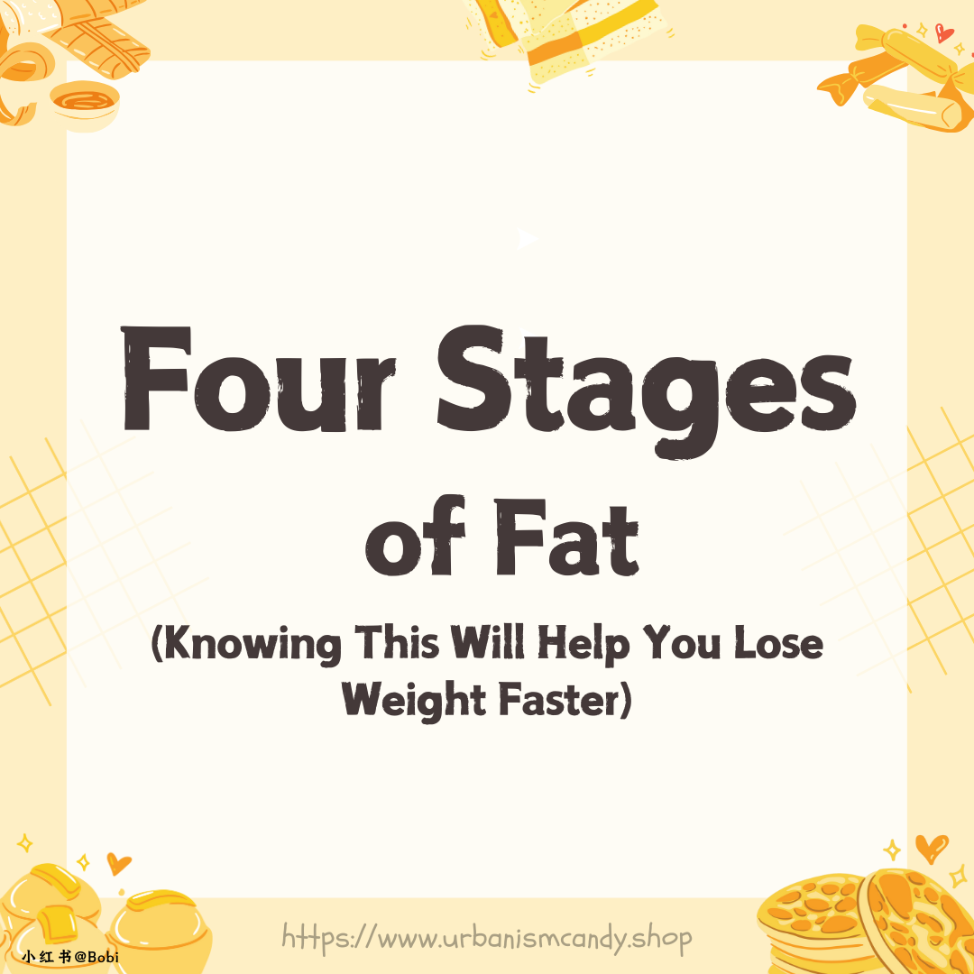 Four Stages of Fat