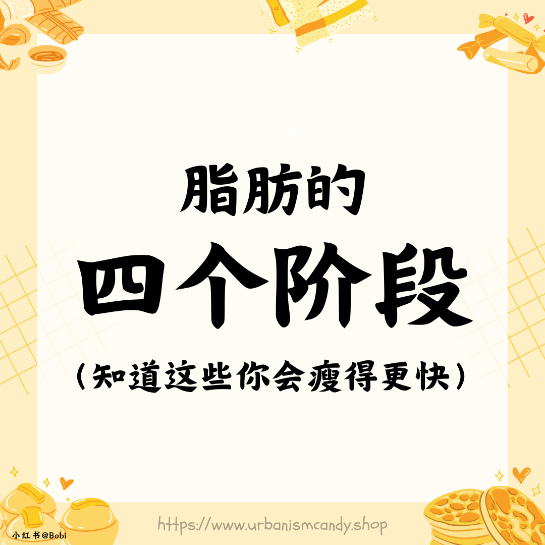 脂肪的四个阶段