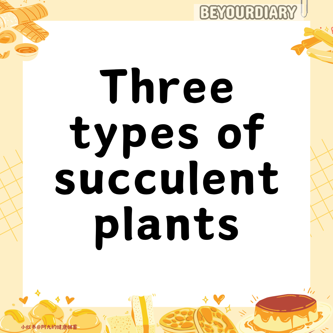 【Three Types of Body Shapes】-URBANISM