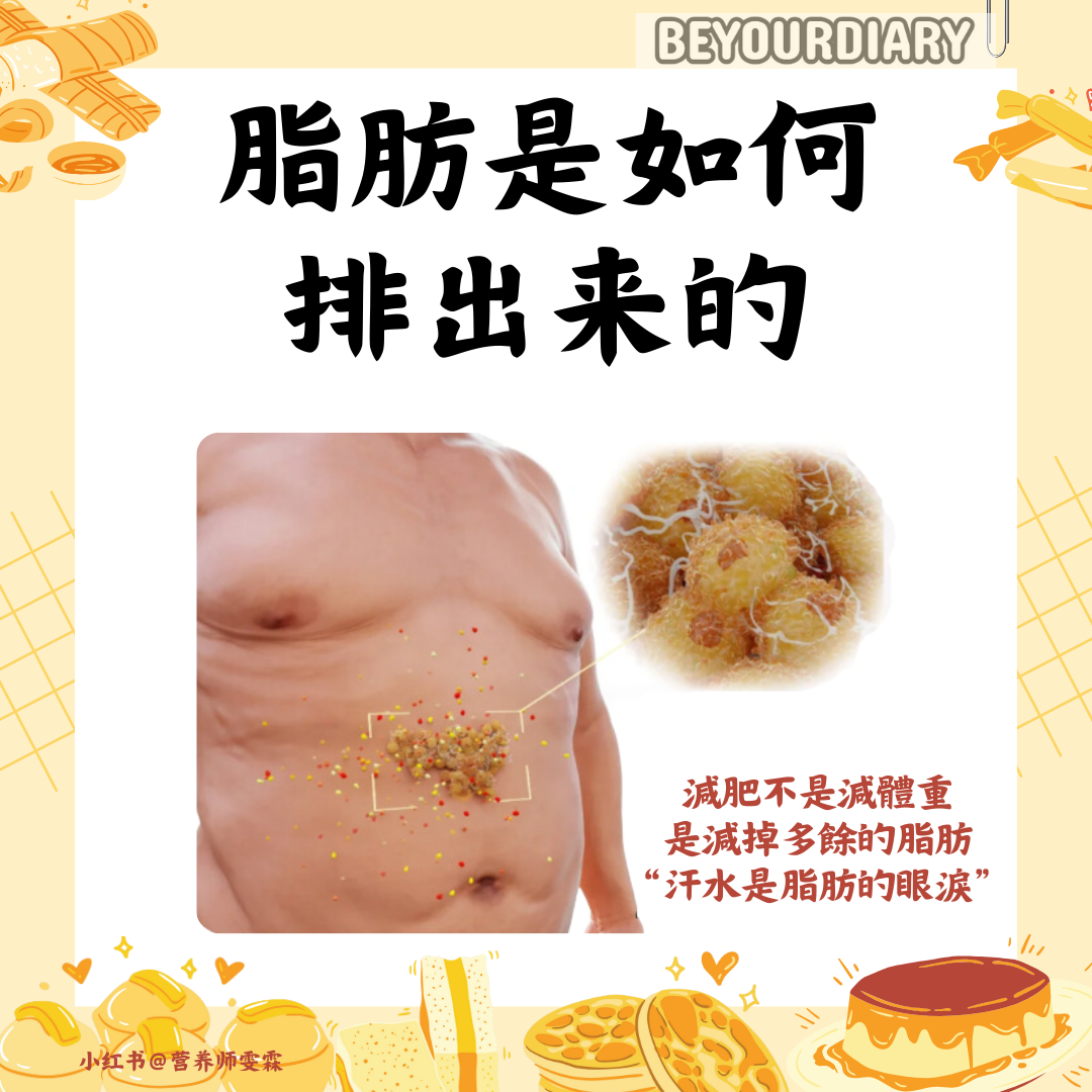 脂肪是如何排出来的
