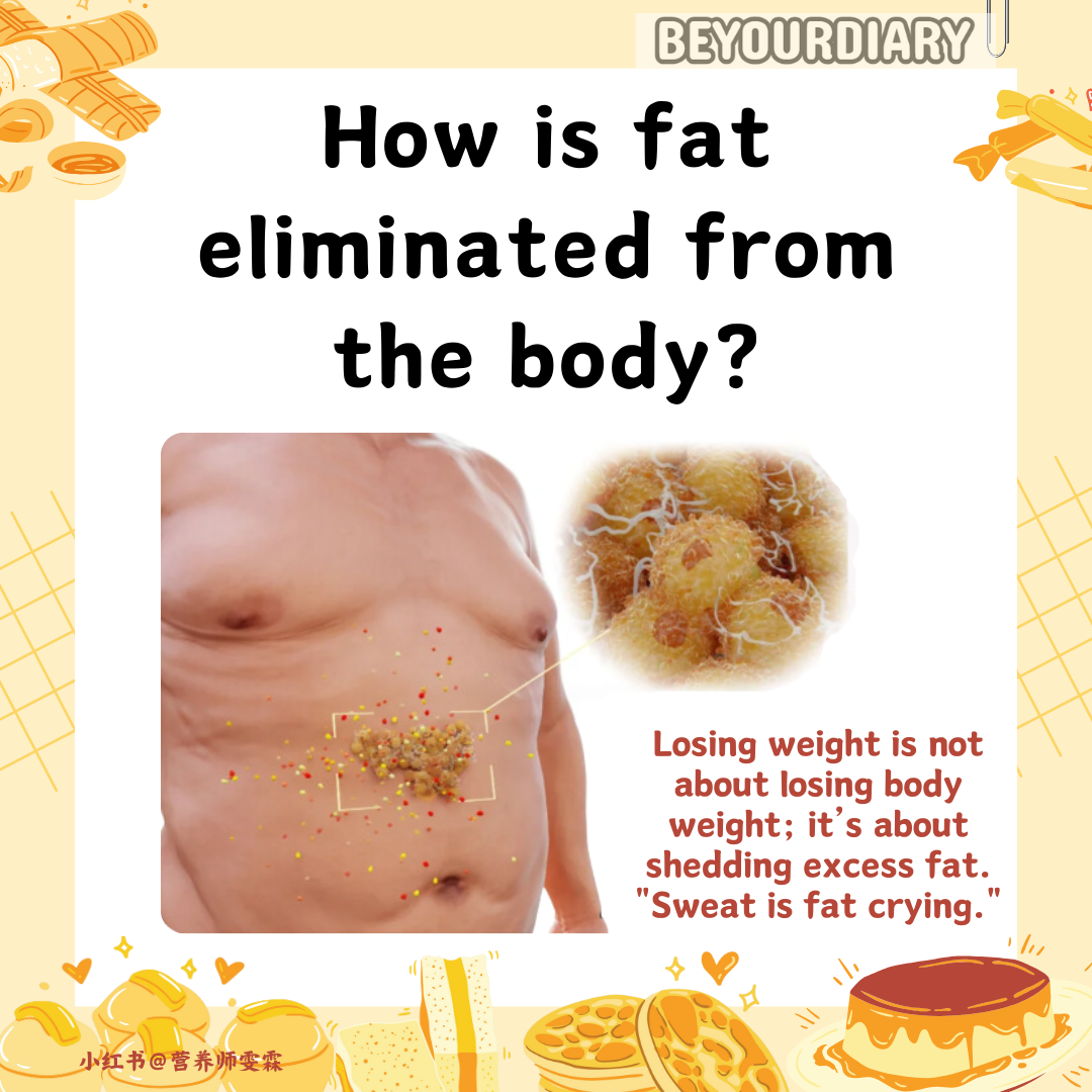How is fat expelled from the body?