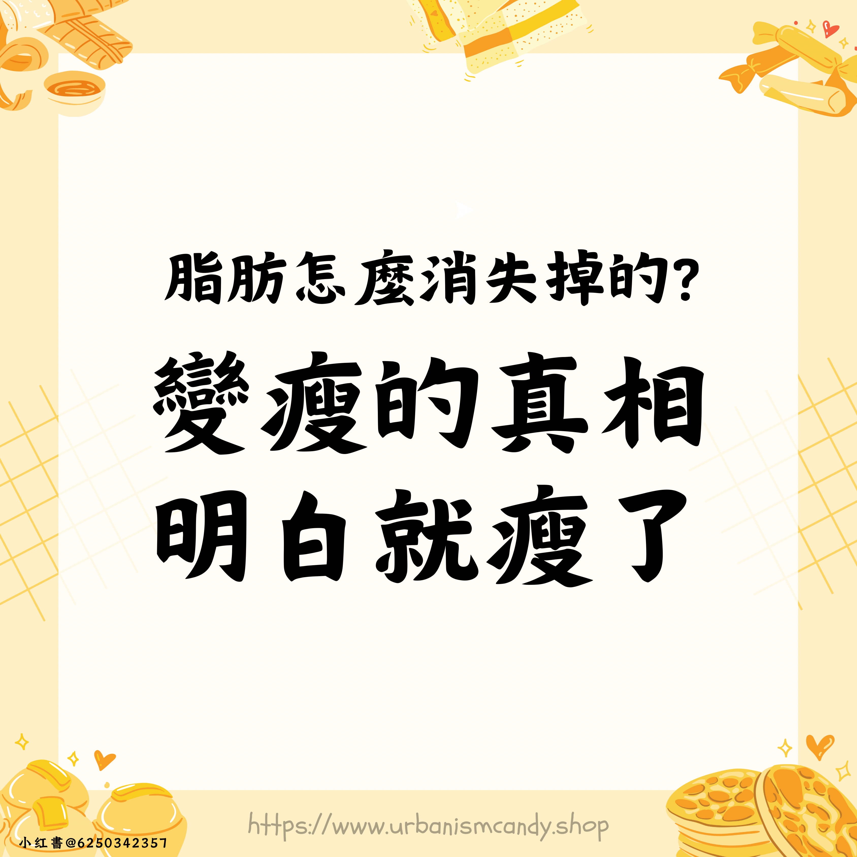 脂肪怎麼消失掉的   變瘦的真相 明白就瘦了  