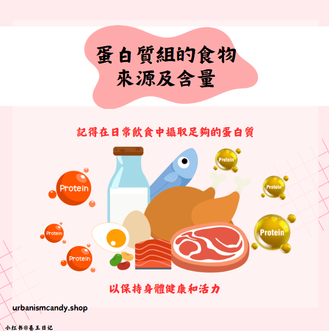 哪些是優質蛋白質十佳食物？