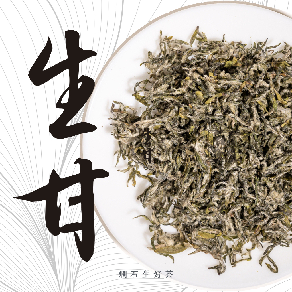 生甘｜頭採春季四川蒙頂甘露