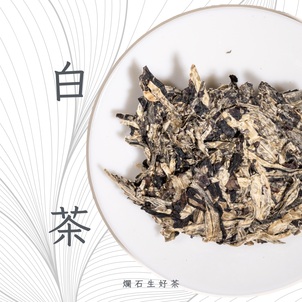 白茶 White Tea