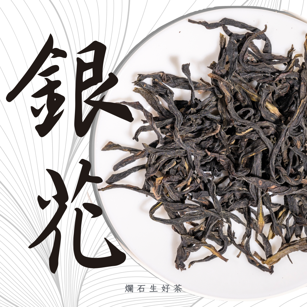 銀花｜鳳凰單叢 - 春採高山銀花香