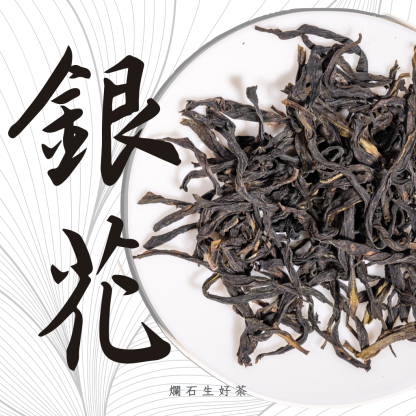 銀花｜鳳凰單叢 - 春採高山銀花香