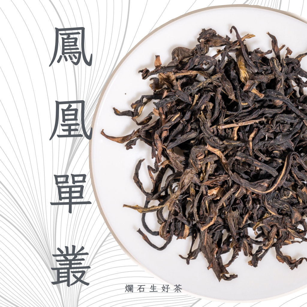 鳳凰單叢 Phoenix Dachong