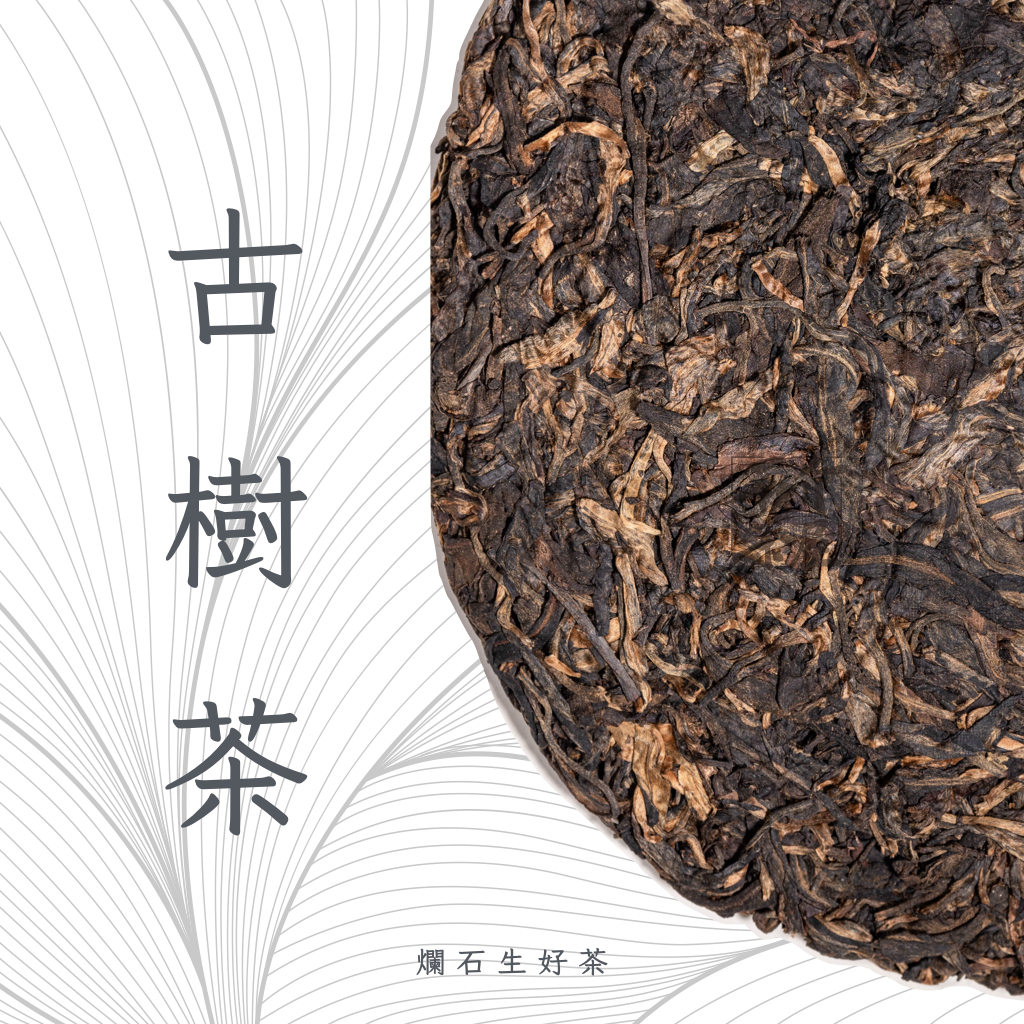 古樹茶 Ancient Tree Tea