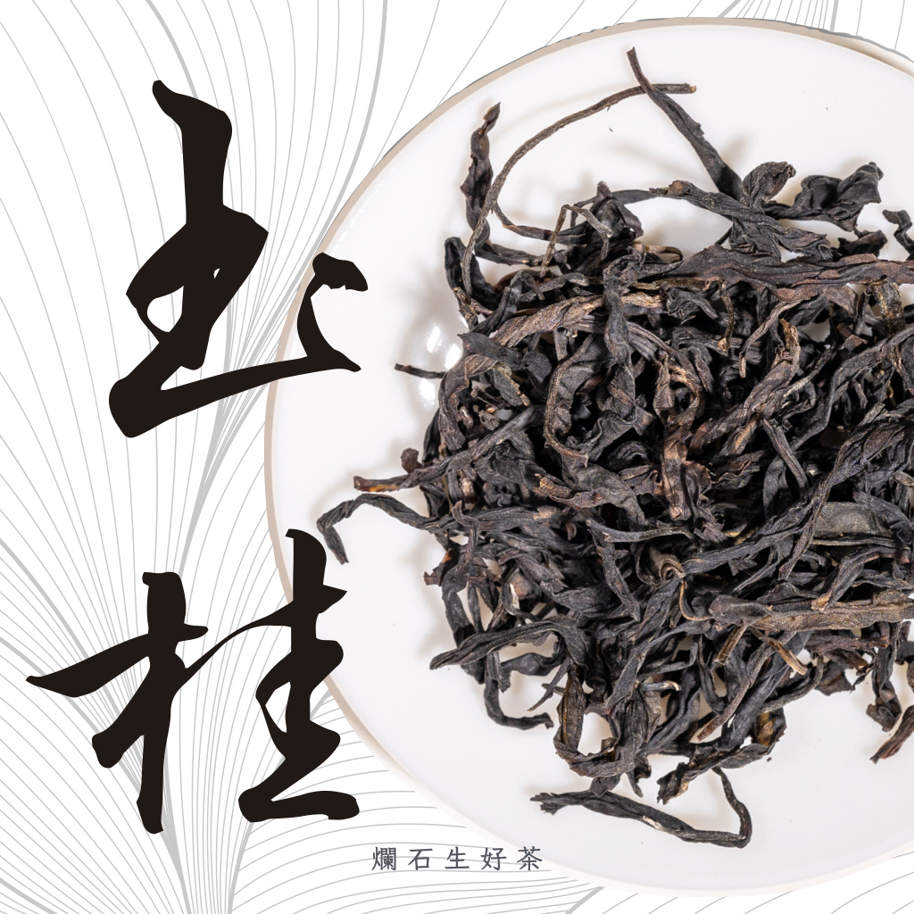 玉桂｜鳳凰單叢 - 高山老欉肉桂香