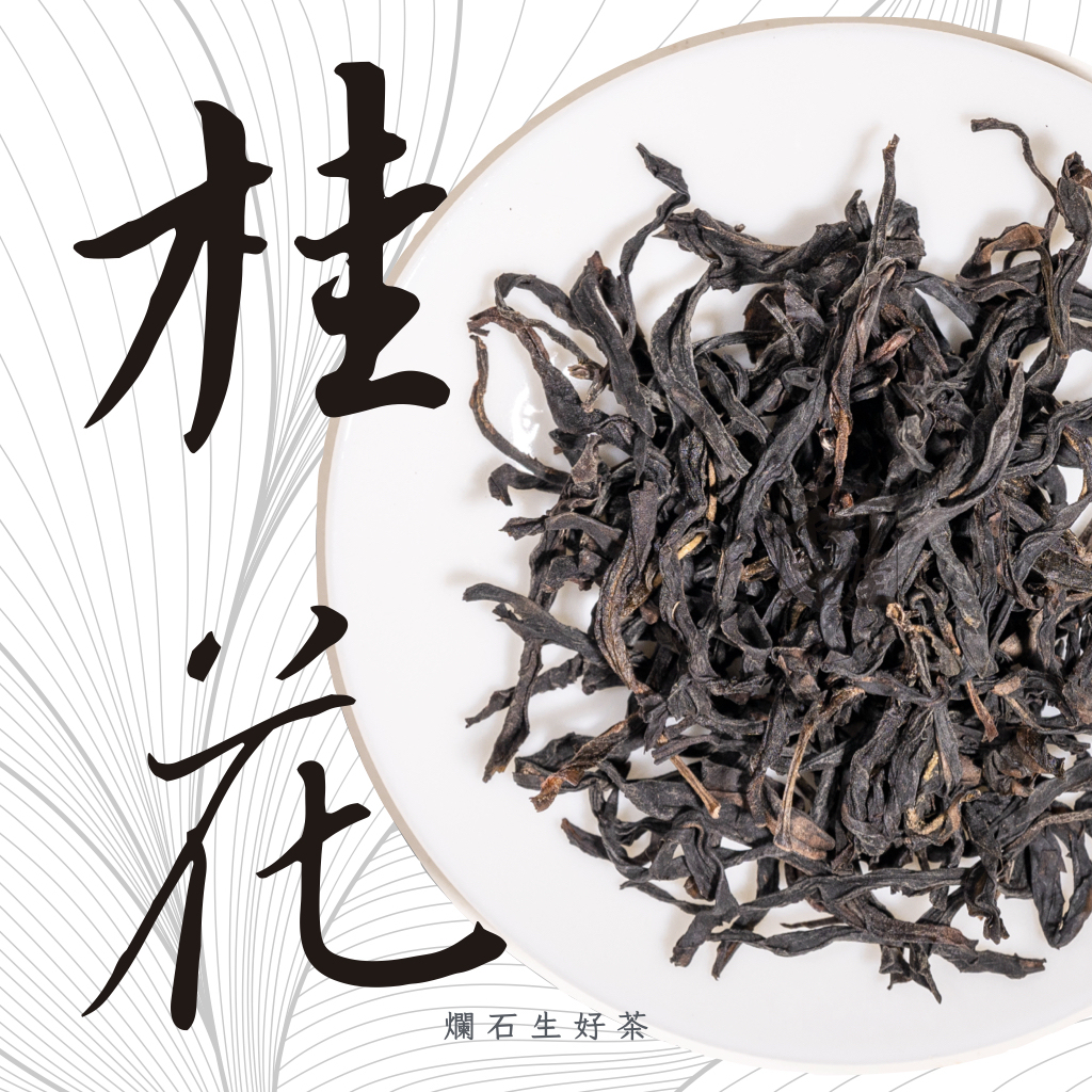 桂花｜鳳凰單叢 - 高山老欉桂花香