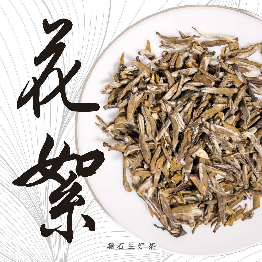 花絮｜九窨．九製 - 茉莉花白毫針王