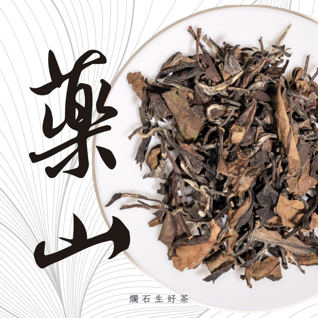 藥山｜2015 年福鼎老白茶