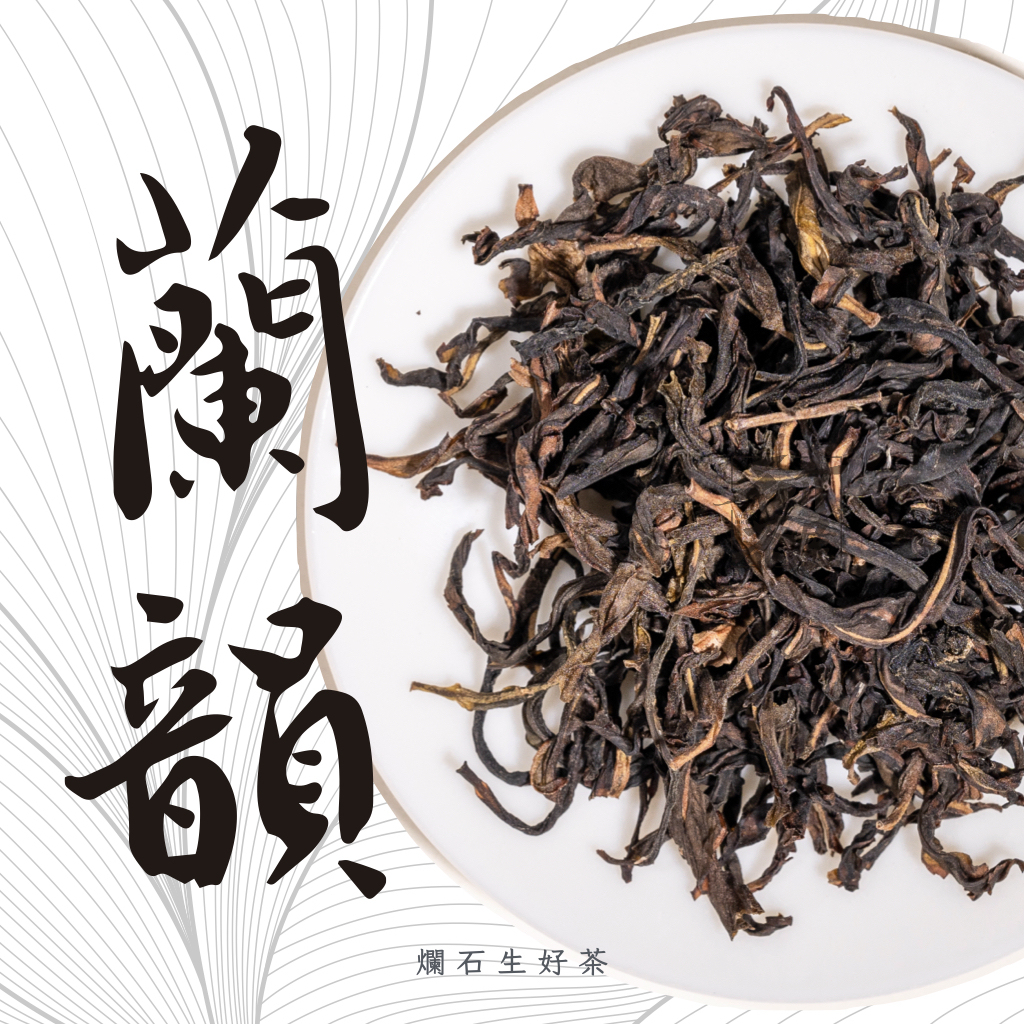 蘭韻｜鳳凰單叢 - 高山蘭花韻